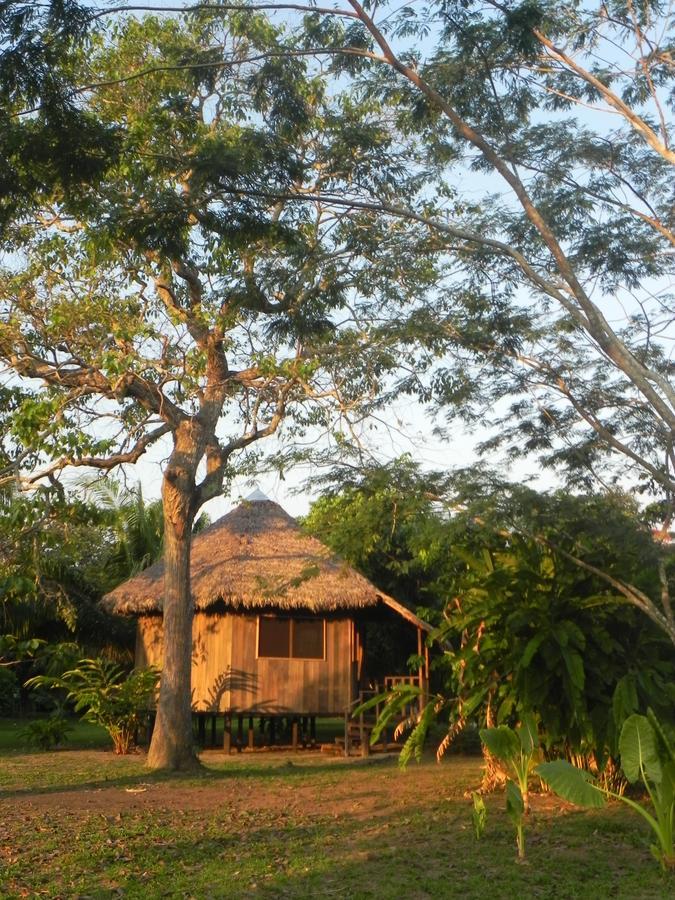 Green Diamond Amazon Lodge Puerto Maldonado Esterno foto
